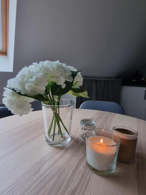 Studio De La Demi Lune Plobsheim Екстер'єр фото